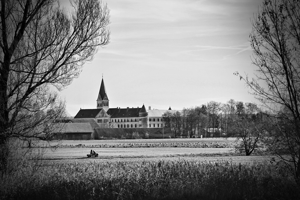 8. Platz Harald Unglert